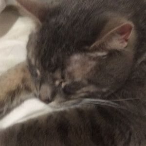 Meet your Posher, Maryanne